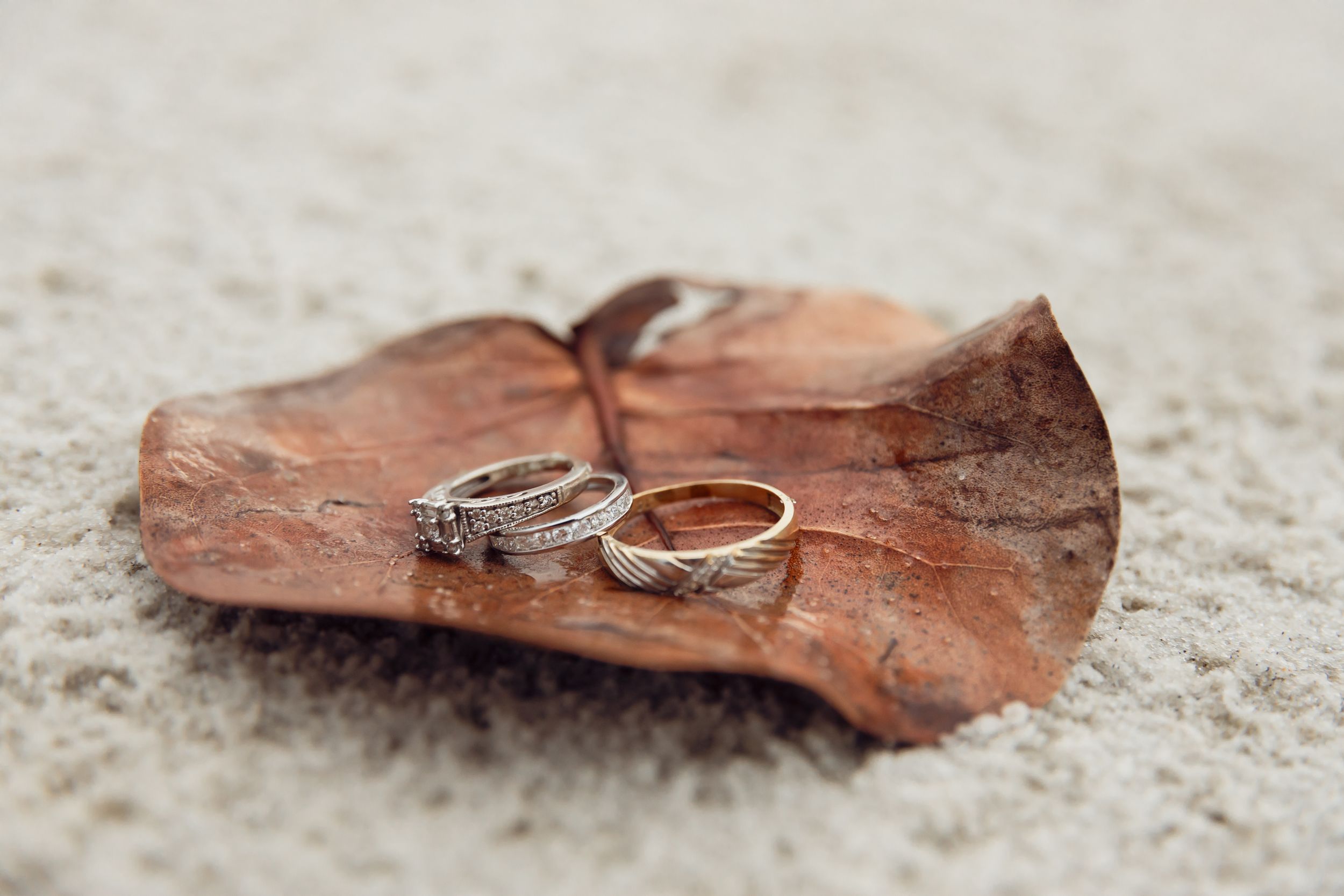 Wedding rings displayed on a dried autumn leaf against textured background.
