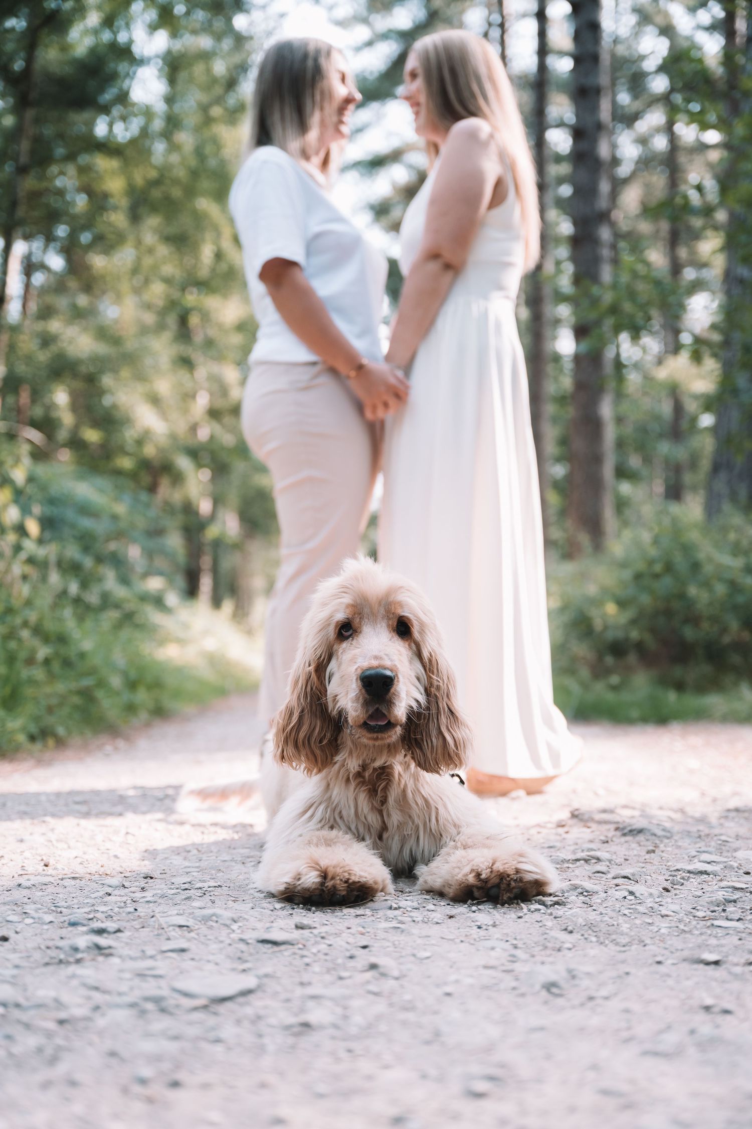 A happy black and white dog poses in front of newlyweds in a garden with a brick wall and flowers in the background.