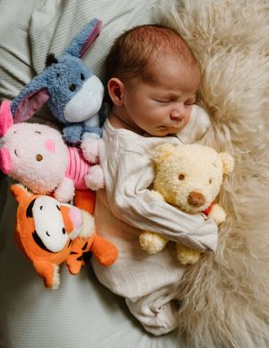 Sleeping newborn baby surrounded by Winnie the Pooh stuffed animals including Eeyore, Piglet, Tigger, and Pooh Bear.