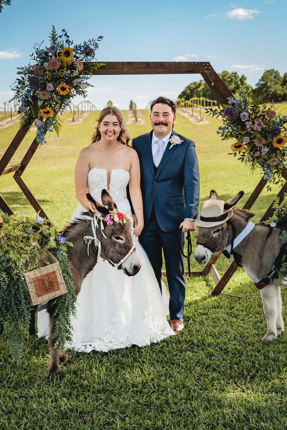 Bride and groom pose with decorated donkeys under a floral hexagonal arch at an outdoor rustic wedding ceremony. Tampa Photographer, Photo