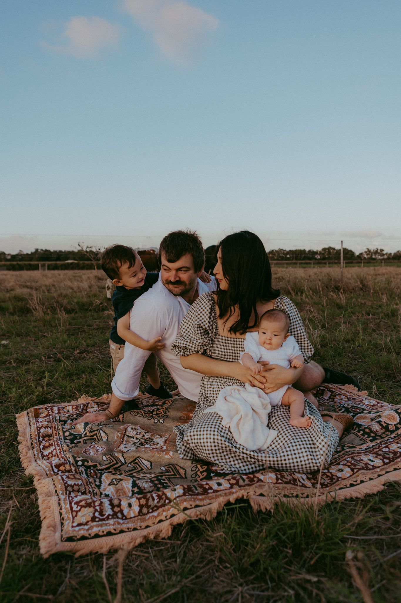 Family of four sits together on vintage rug in golden field at dusk, sharing a tender moment.