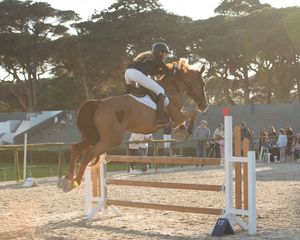 competition imagery