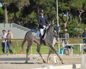 dressage competition