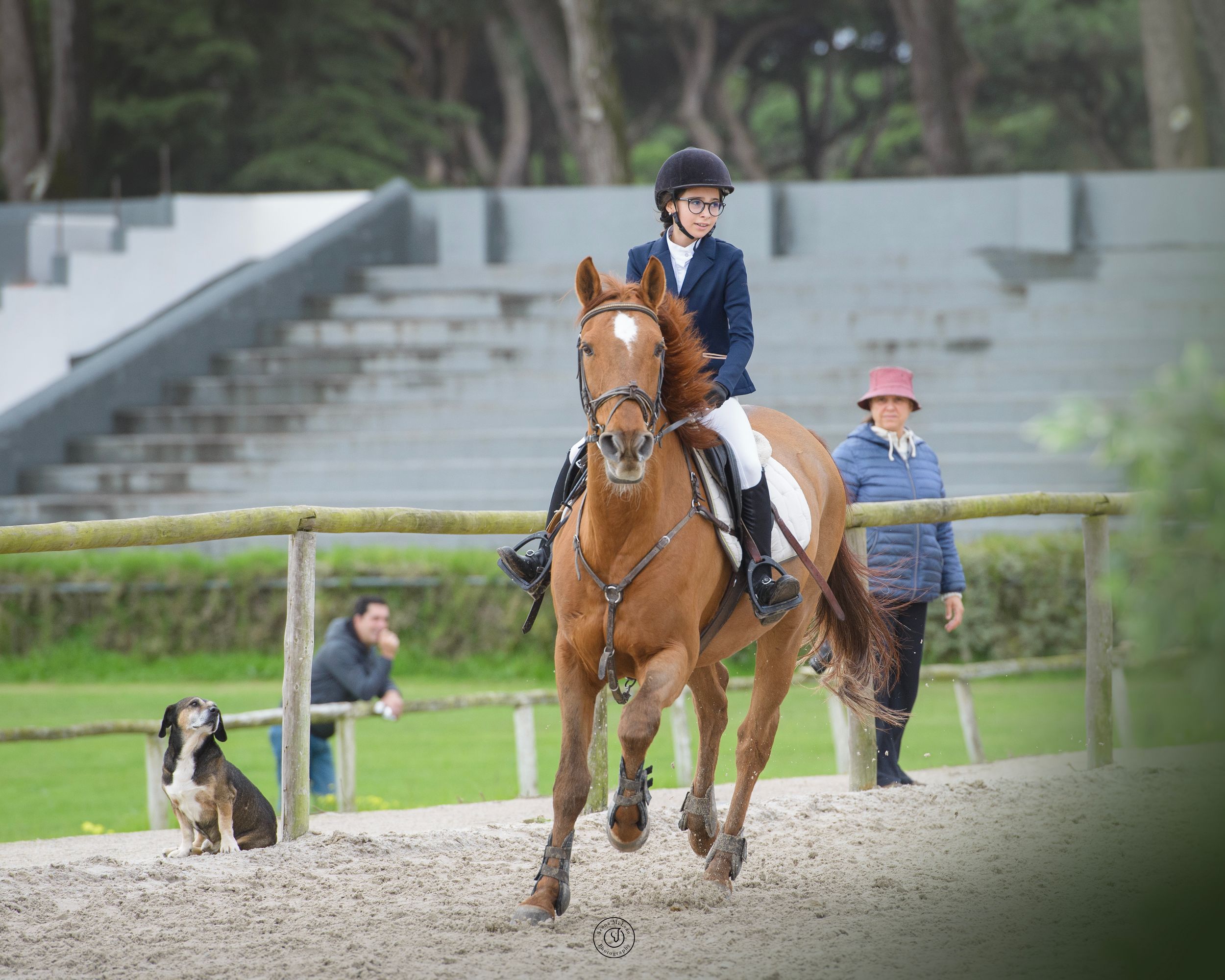 competition imagery