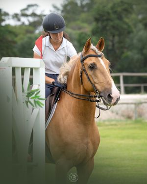 competition imagery