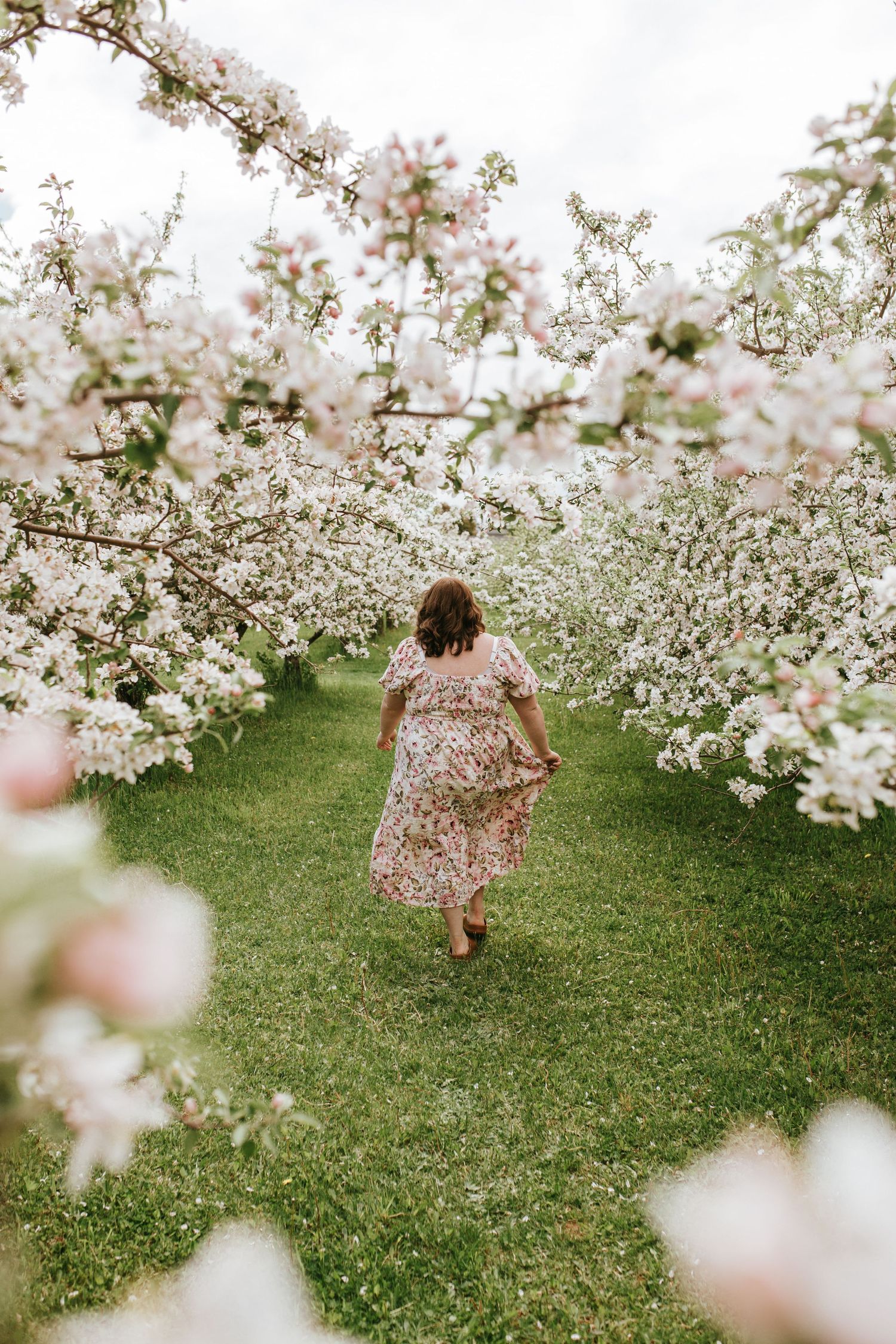 A dreamy scene of someone in a floral dress walking through blooming cherry blossom trees. Photo at Charlottetown PE