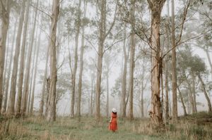Huon Valley, Tasmania. Misty landscape in the forest. Girl in the forest. Fairy. By Joss Jensen Photography