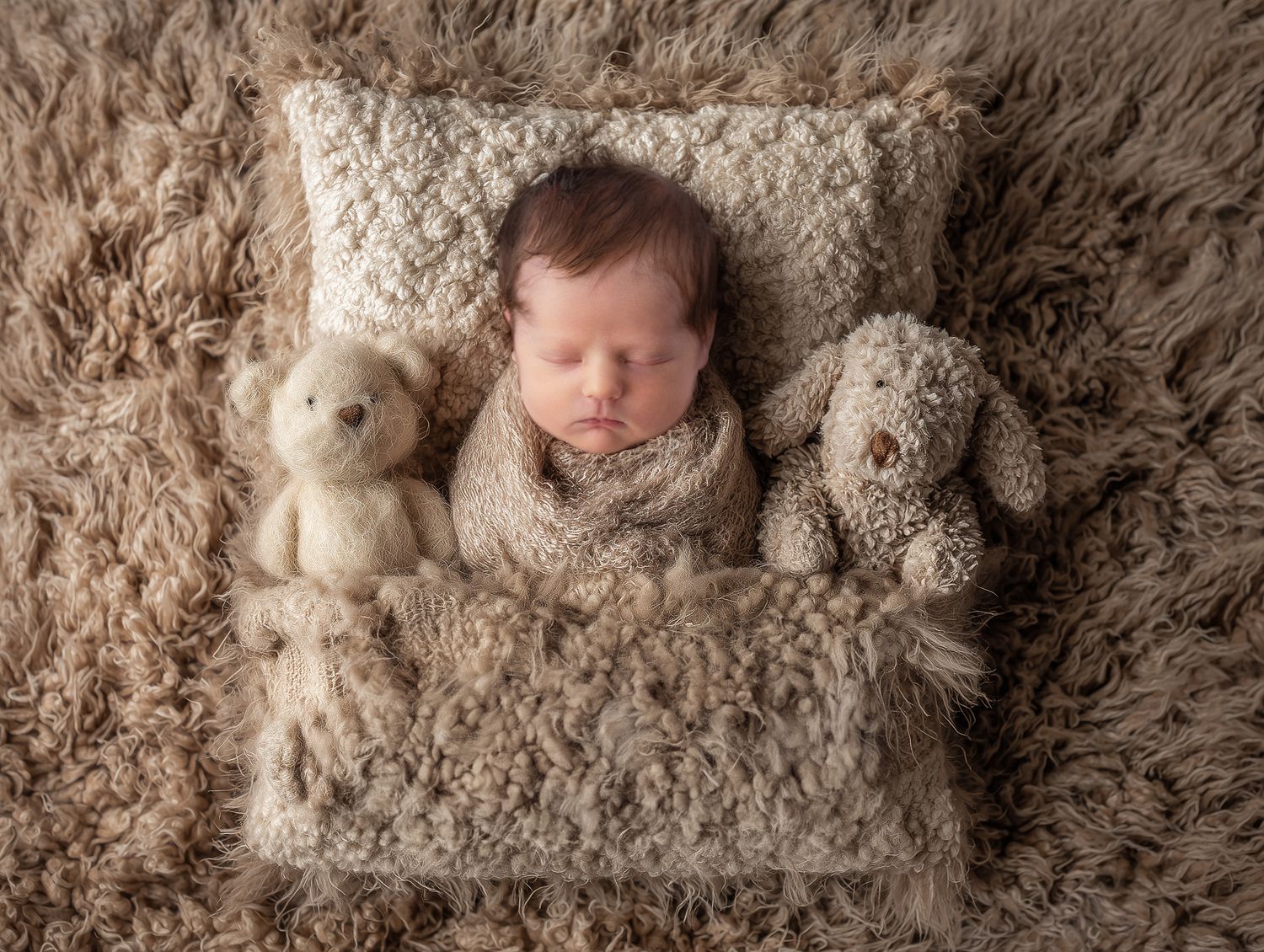 Newborn boy, beige and brown tones, bean bag, studio in Kempsey. Port Macquarie, Coffs Harbour, Mid North Coast.