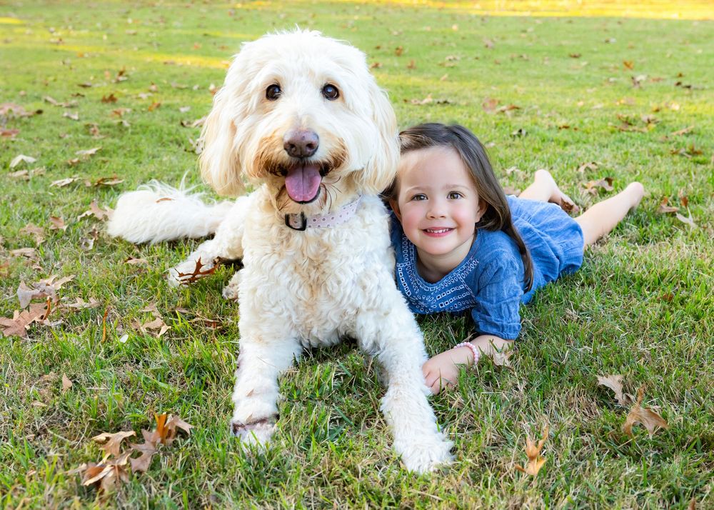 Knoxville Premier Photographer