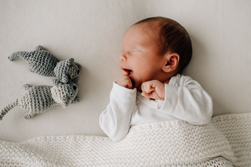 Sleeping newborn in white onesie lying on blanket next to gray knitted stuffed animal toy.Newborn Fotografie Frankfurt