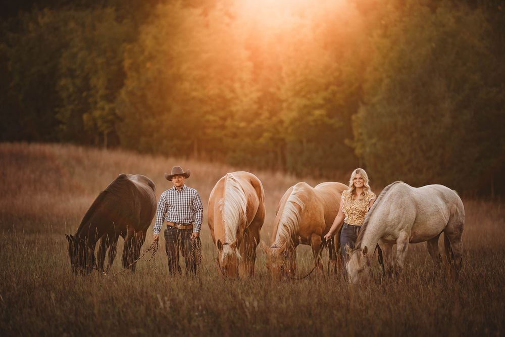 Herd of horses grazing in a misty field at sunset with warm golden lighting.