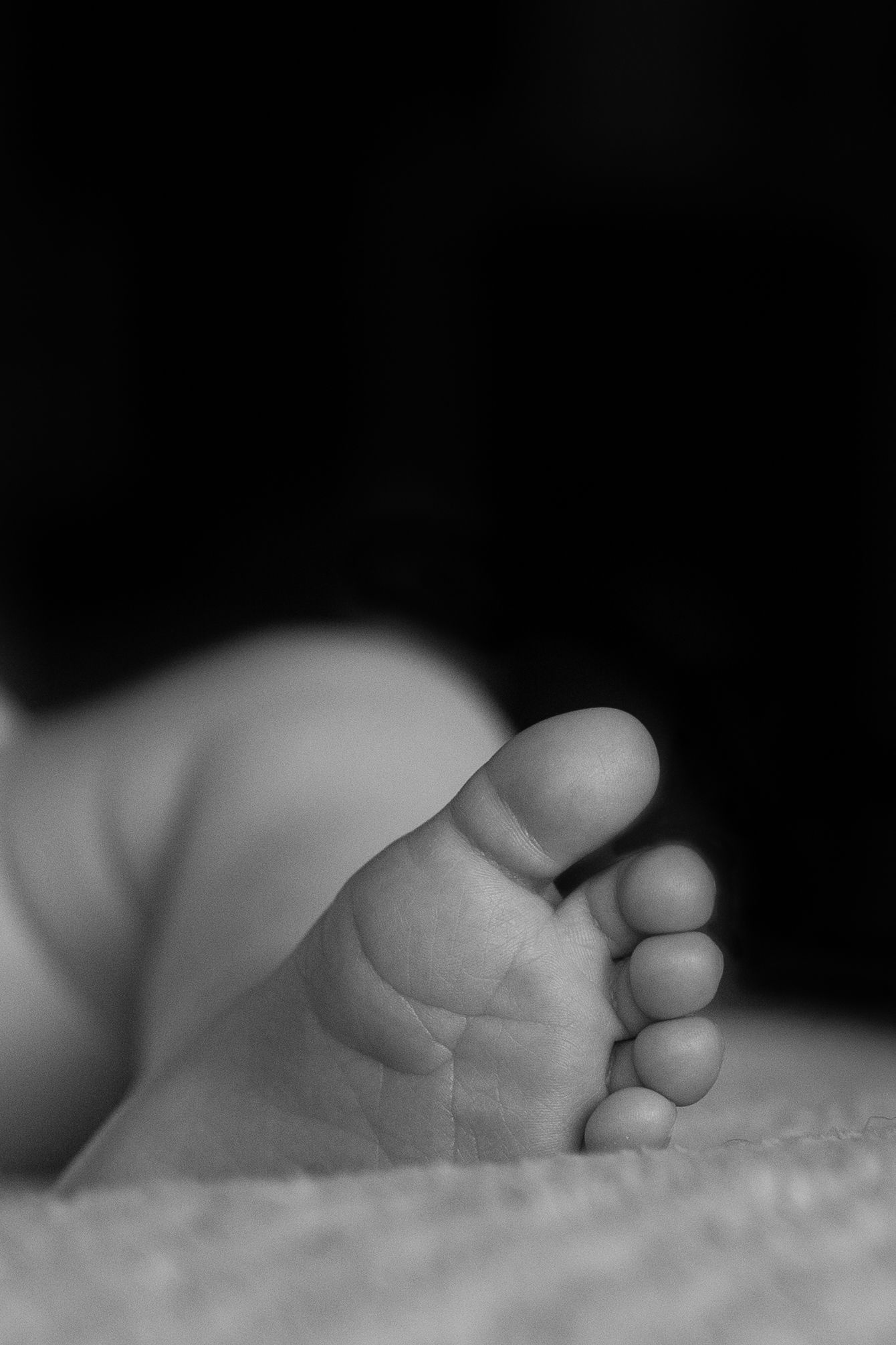 new born photography