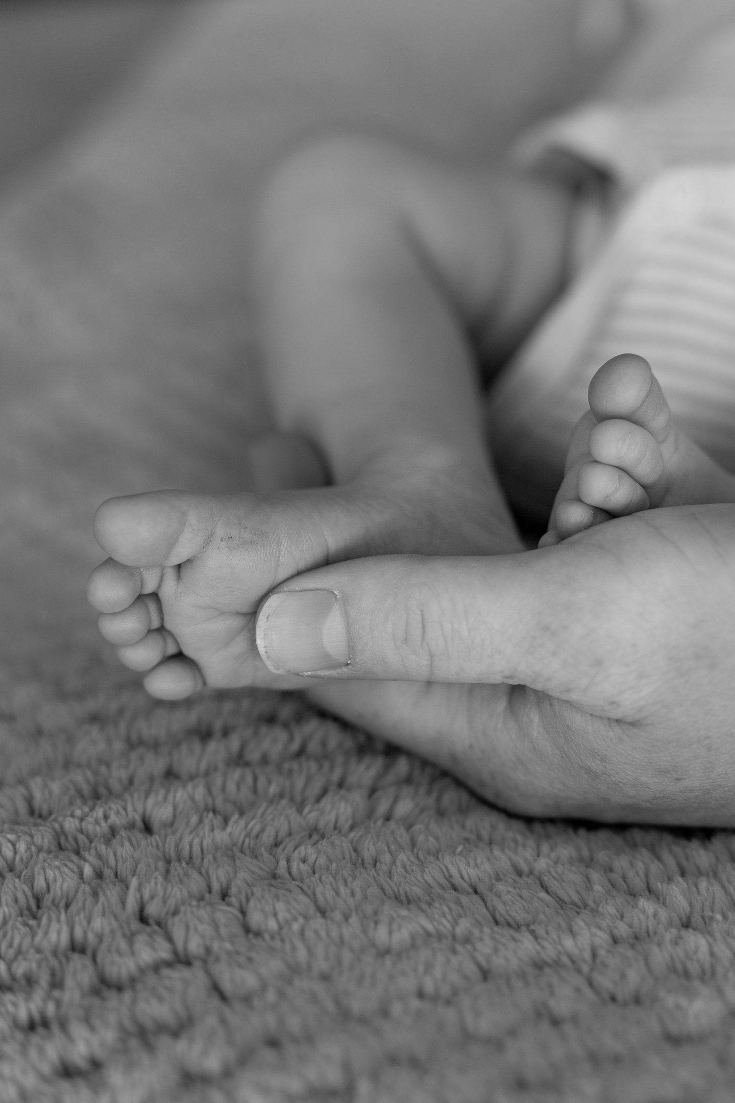 new born photography