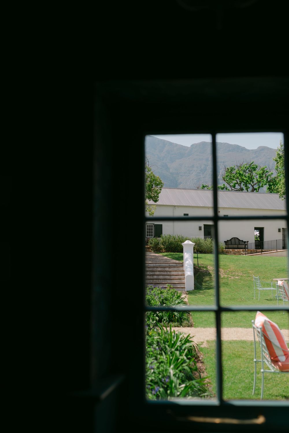 View through a dark window pane looking out at a suburban yard with buildings and greenery in the distance.