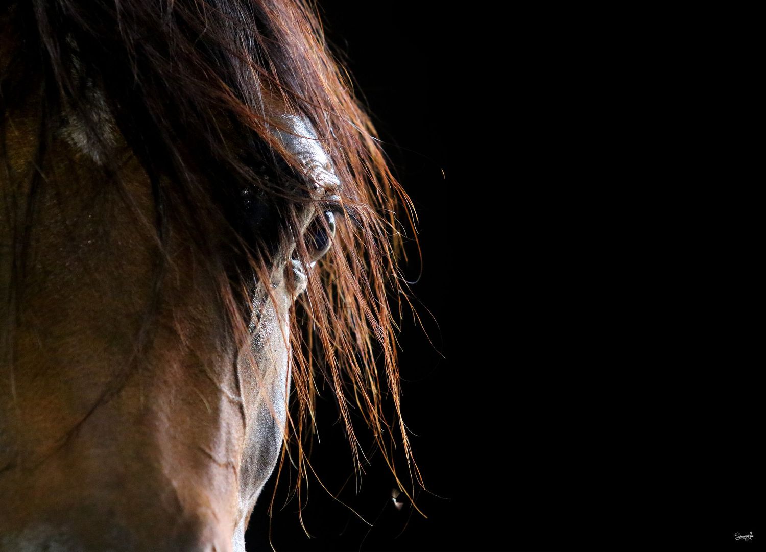 Photographer & Graphic Designer based in Longwarry, Victoria ~ Australia.
