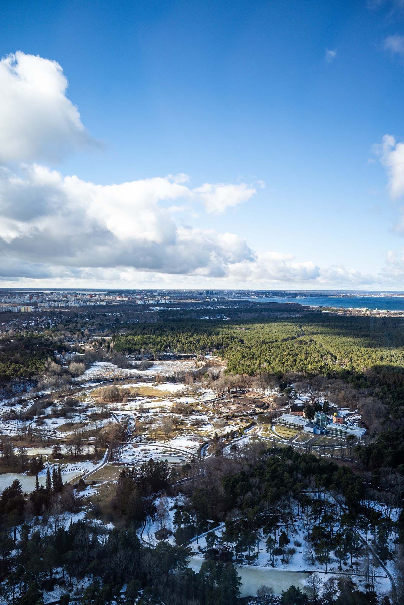 Aerial panoramic view of a snow-covered residential neighborhood nestled among trees with ocean visible in the distance.