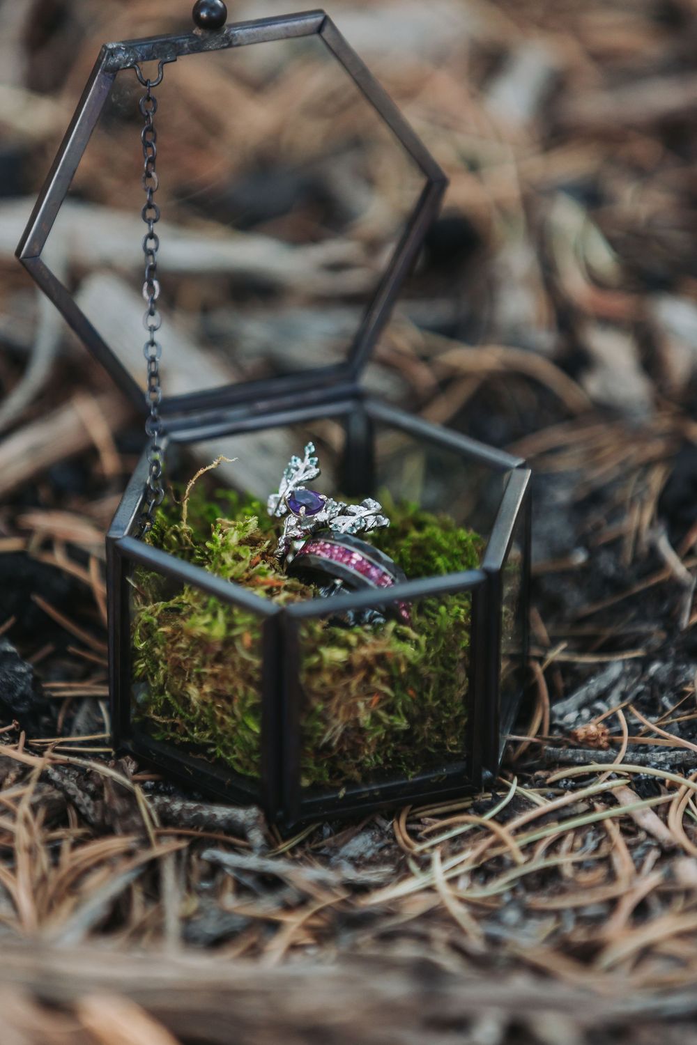 Small glass terrarium with delicate purple flowers nestled in moss sits on forest floor among dried leaves and twigs.