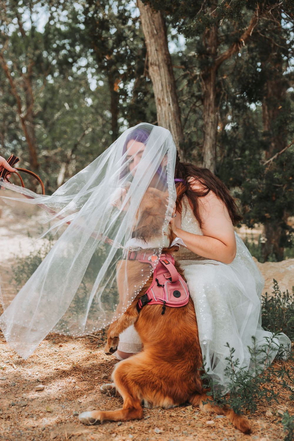 A wedding dress and veil flow gracefully in the wind as a golden retriever dog rests on the ground in a forest setting.