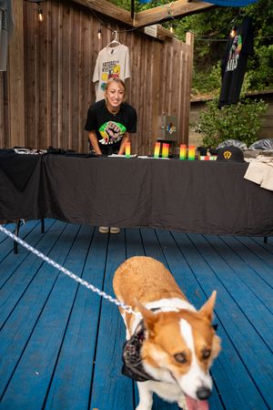 A corgi dog walks across a blue wooden deck near a black-draped vendor table at an outdoor event.