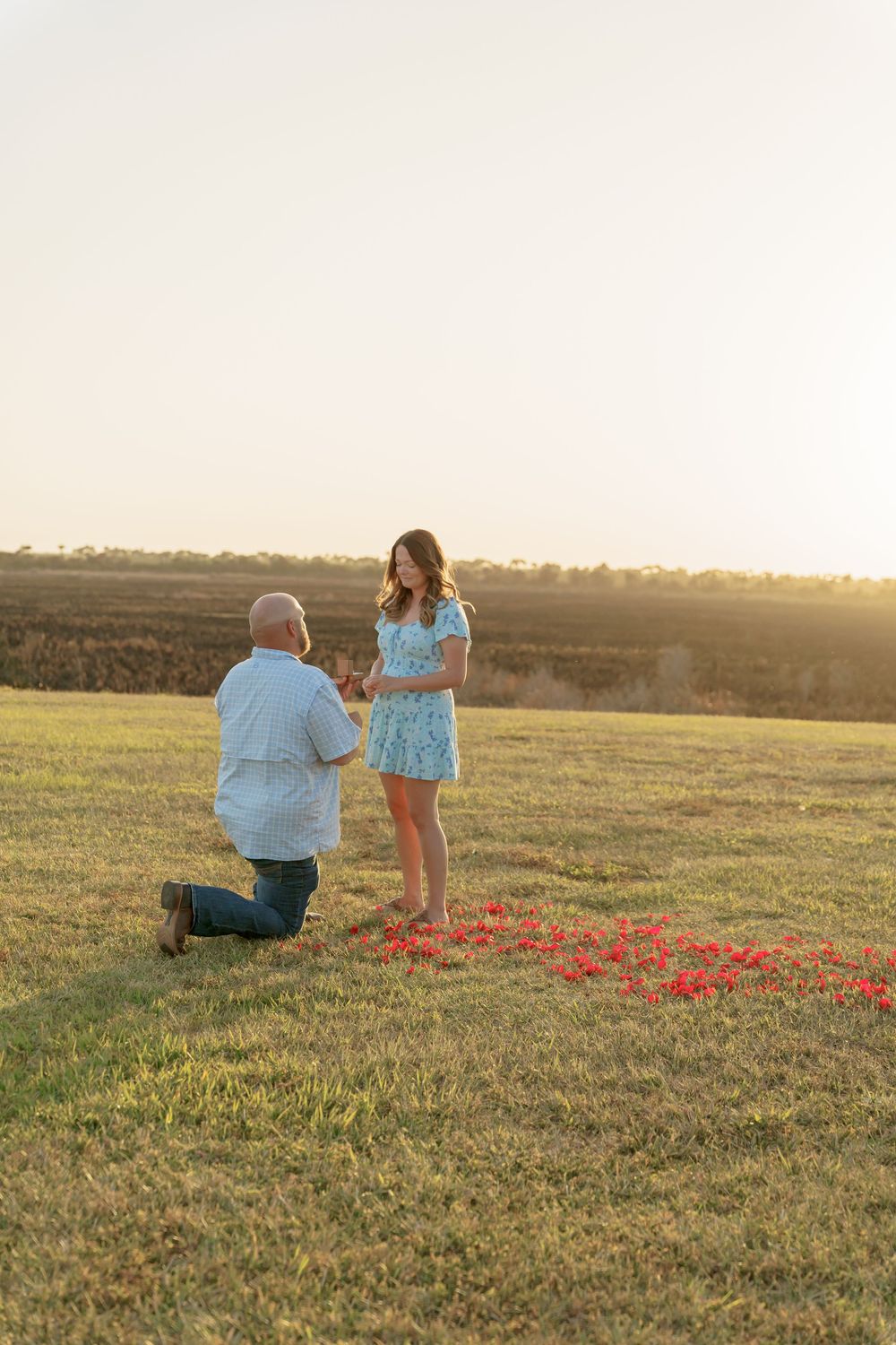 A couple shares a romantic moment in a field at sunset with rose petals arranged in a heart shape on the ground.