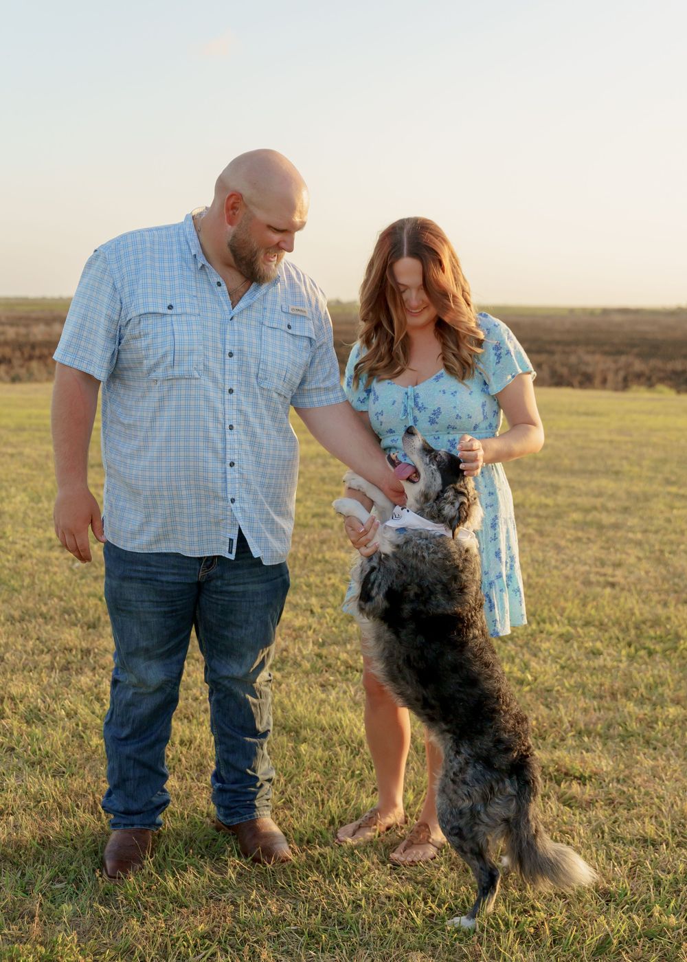 A couple and their fluffy black dog play together in a golden sunlit field at sunset.