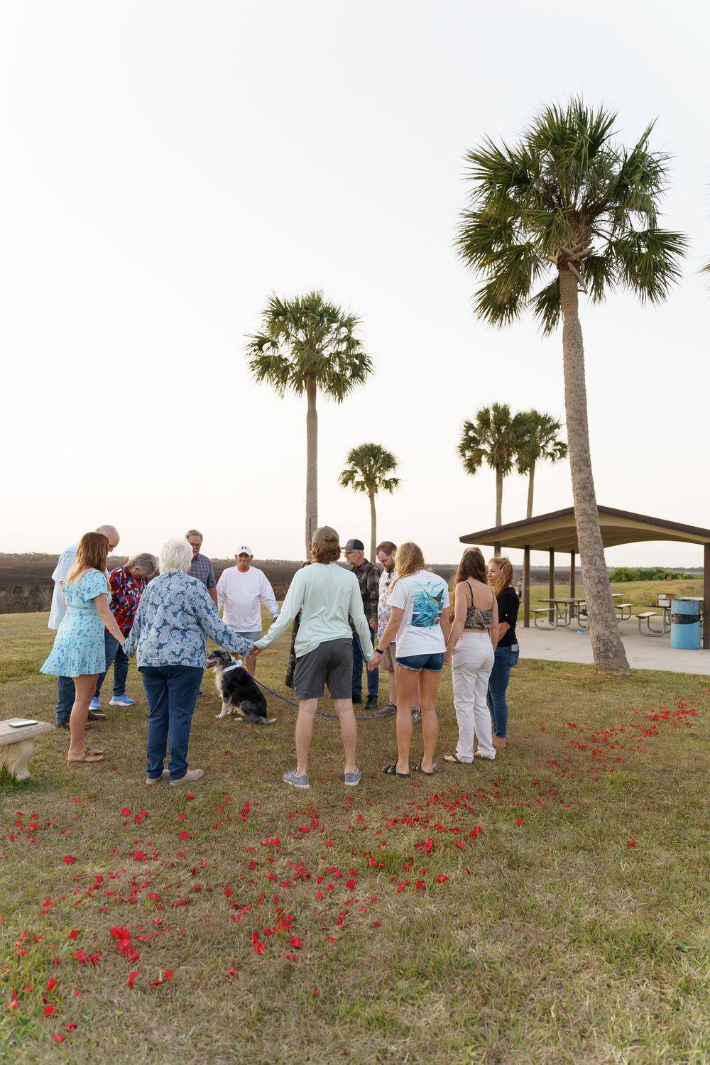 A group gathers near palm trees on a grassy hill with red wildflowers at sunset.