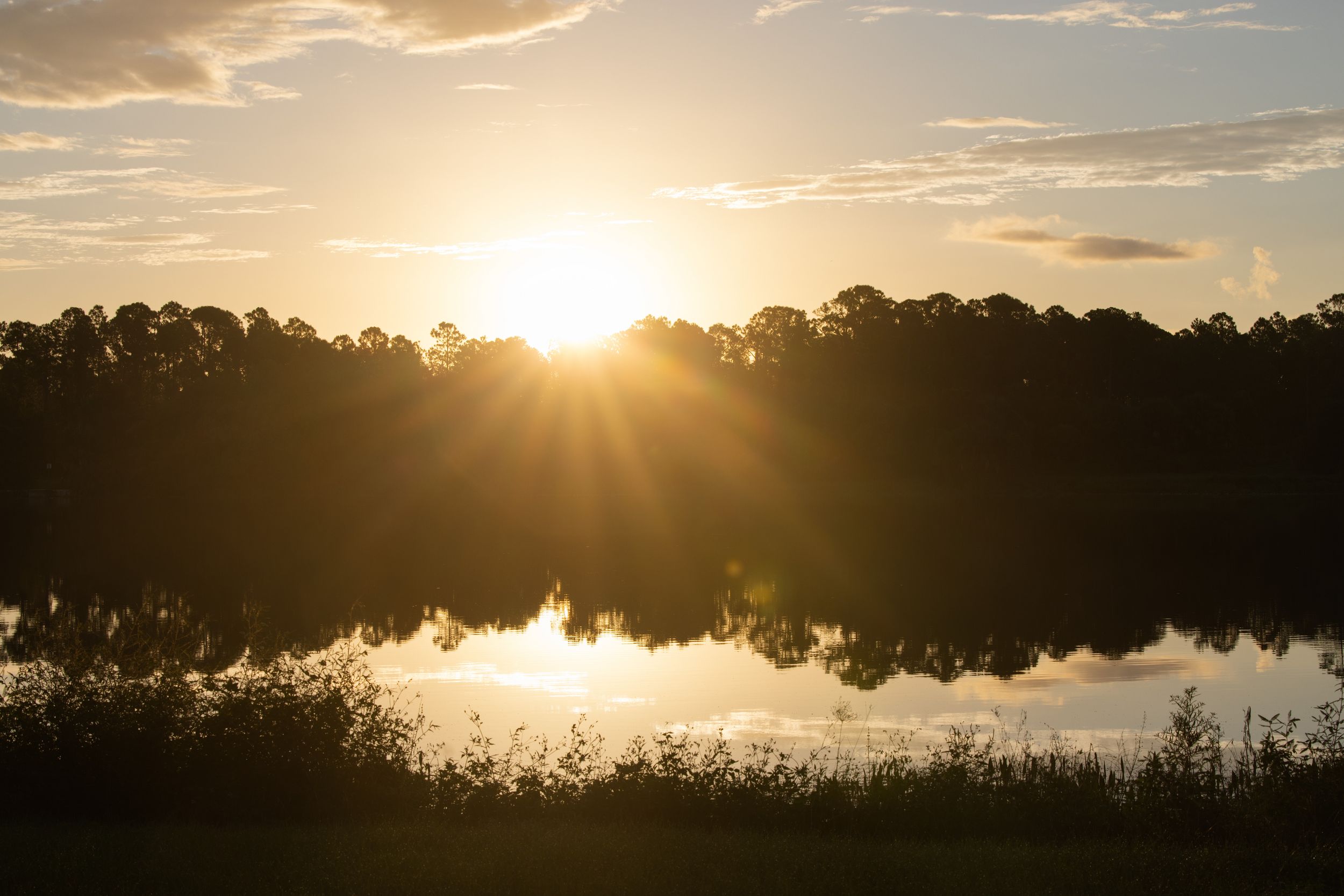 Golden sunlight bursts through silhouetted trees over a tranquil lake at sunset creating a stunning reflection on the water.