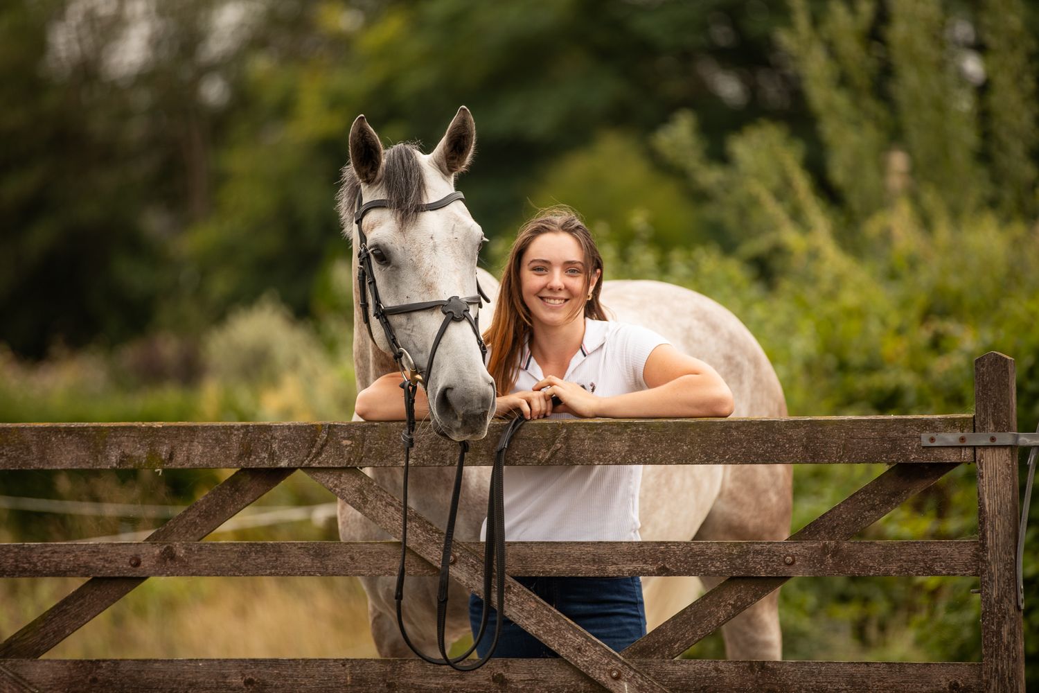 A series of seven photos showing a white horse and rider interacting at a wooden fence in an outdoor setting.