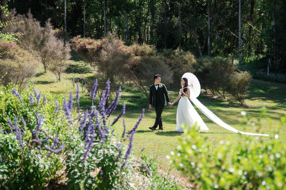 A couple walks through a garden path surrounded by blooming purple flowers and greenery on their wedding day.