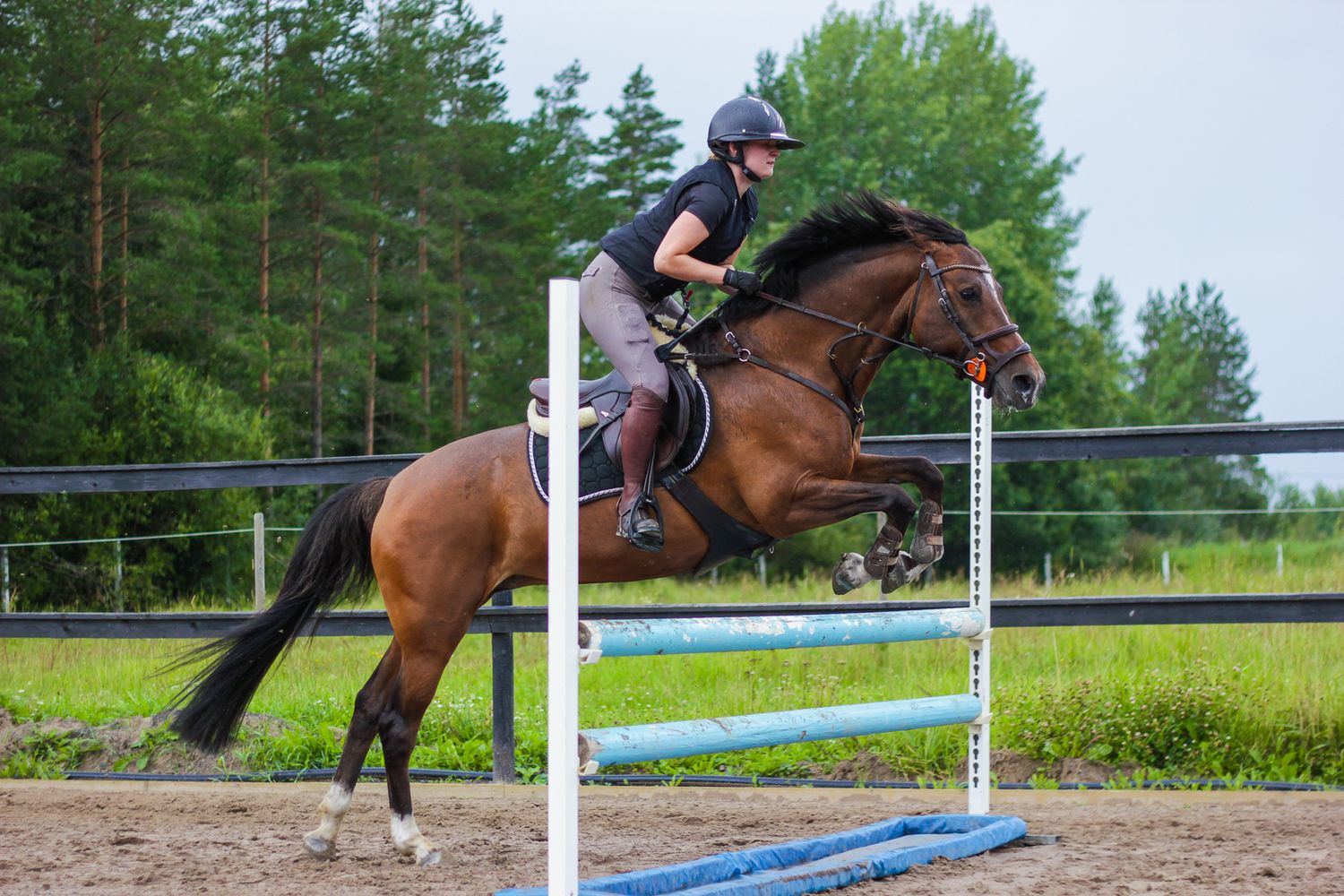 valokuvaus, photography, tyynesti photography, valokuvaaja, hevosvalokuvaaja, hevosvalokuvaus, puoliverinen, equine photographer