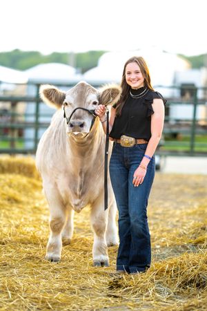 Young cattle handler with show calf on straw-covered ground during golden hour.