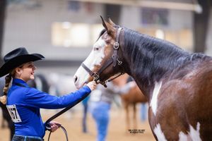 A rider in a blue shirt and black cowboy hat reaches out to pet a brown horse in an indoor arena.