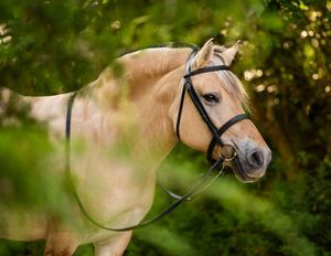 Close-up profile shots of a cream-colored horse with bridle against green foliage.