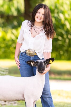 Person in white shirt and jeans poses with a young sheep in a sunny outdoor setting.