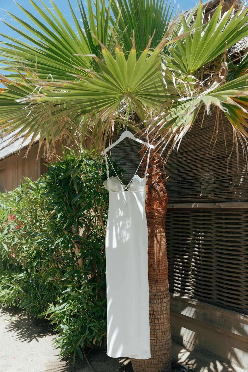 A simple white wedding dress hangs on a palm tree trunk with tropical green foliage in the background.