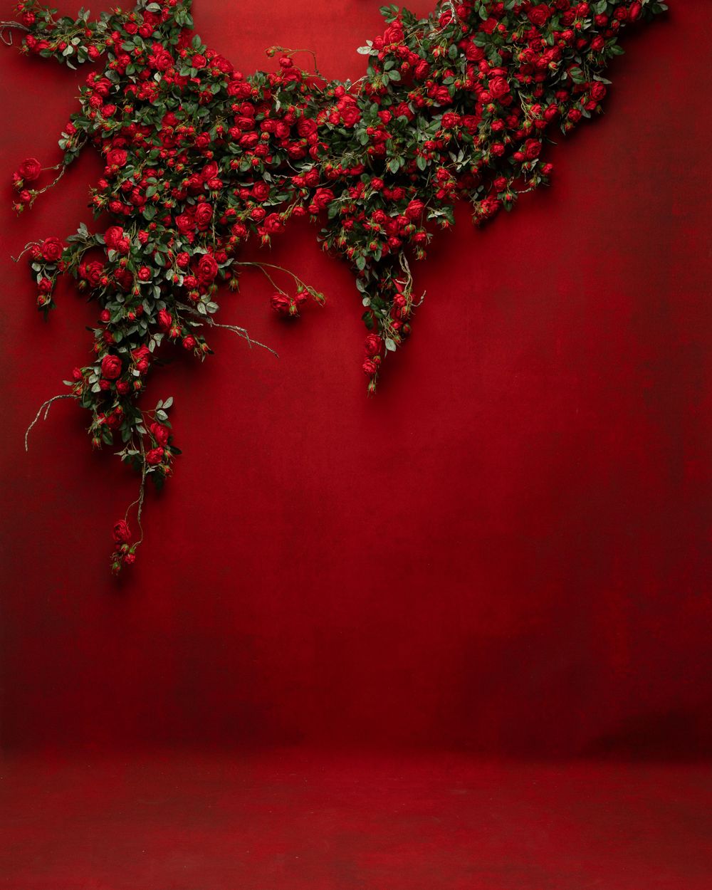Red rose branches with green leaves cascade down against a dramatic deep red studio backdrop.