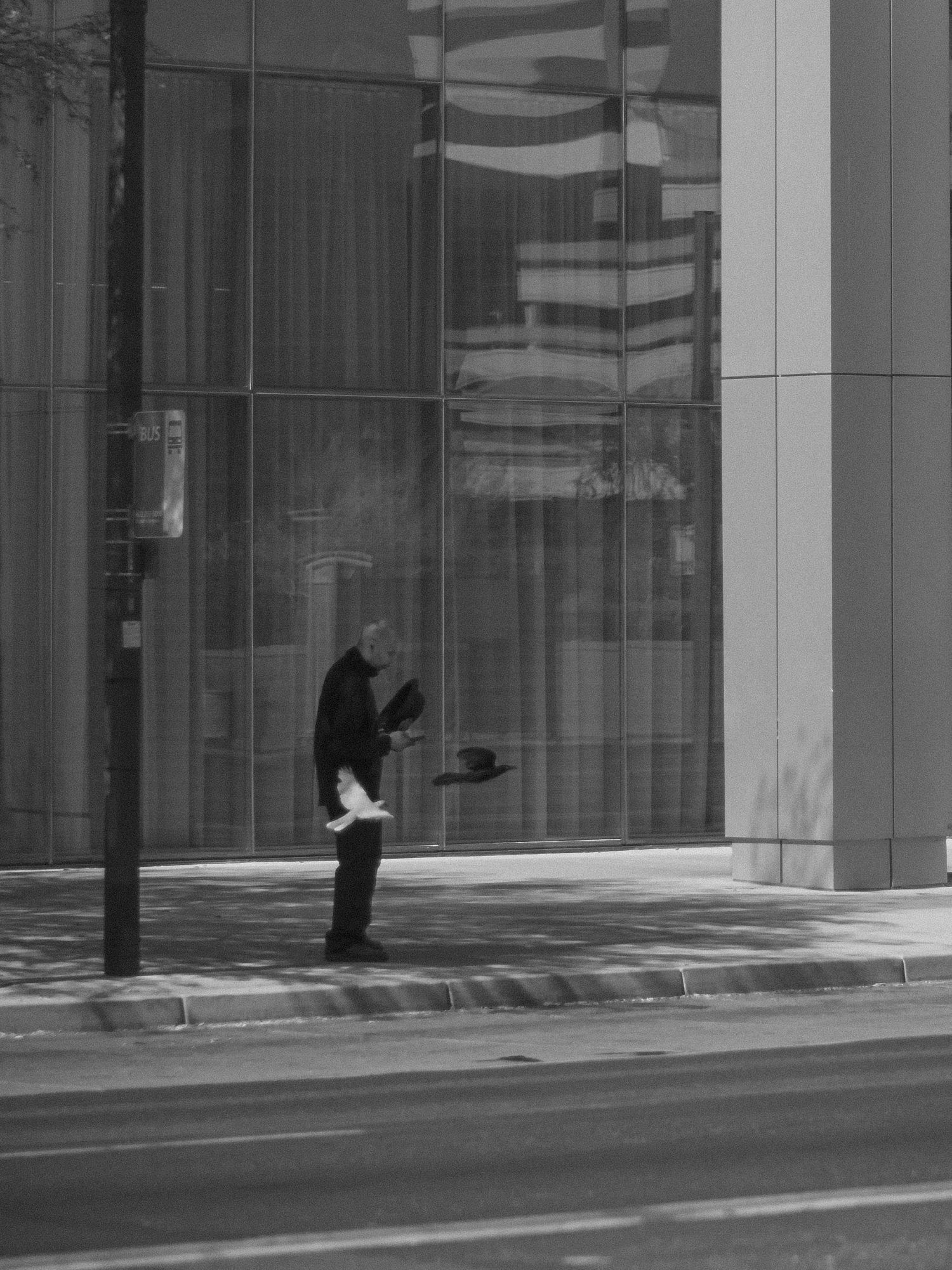 Black and white urban scene showing a silhouetted figure, against a modern glass building, with a black and white bird flying across.