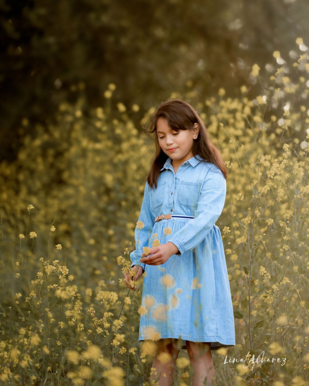 Sunlit meadow with yellow wildflowers and soft bokeh effect.