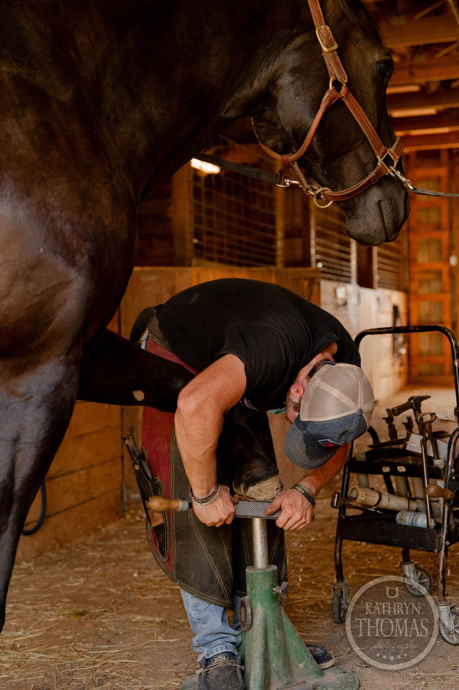 Close-up of farrier tools being used during horse hoof maintenance in stable.