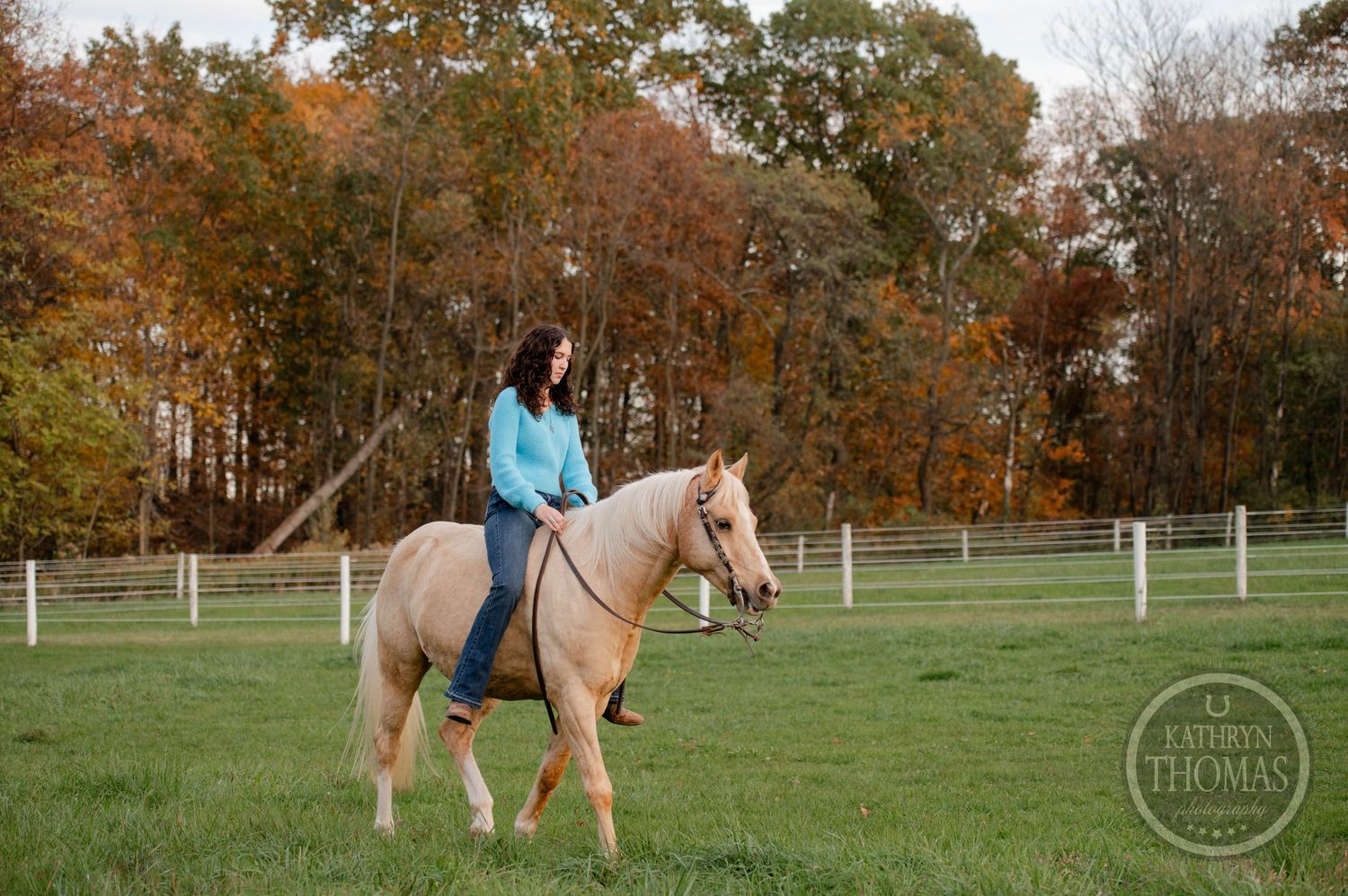 Rider in blue sweater horseback riding on palomino horse in fall setting with fenced arena.