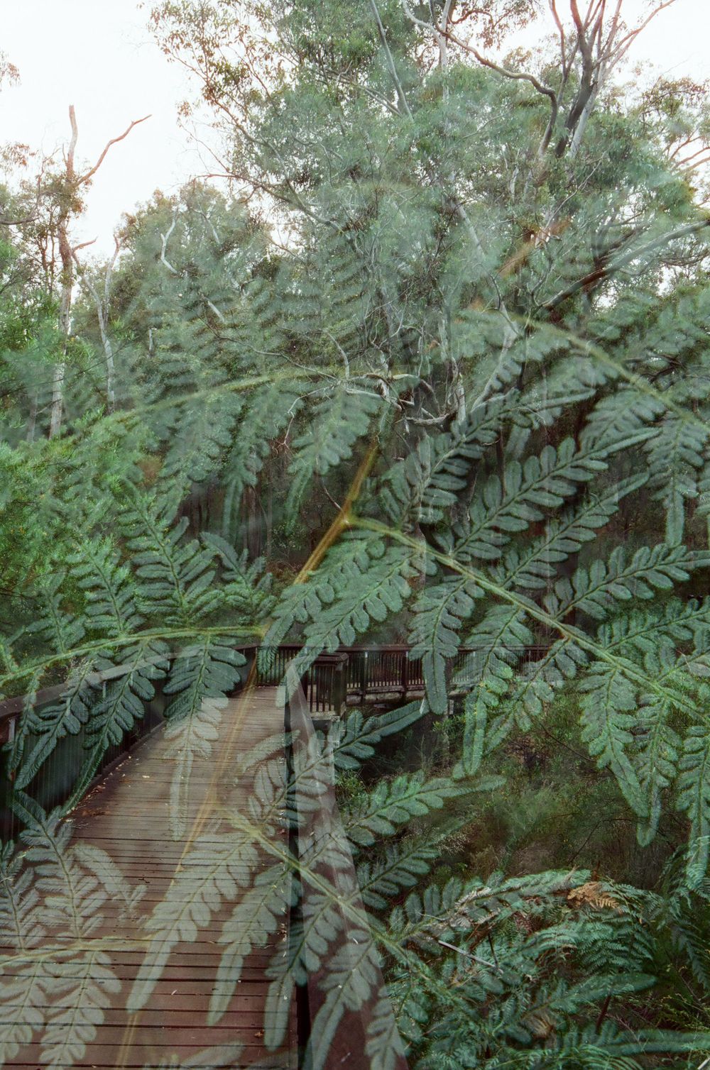 Capturing authentic moments through film in Perth, Margaret River, WA. Specializing in motherhood, branding, and intimate portraits