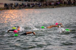 Swimmers in colorful swim caps compete in an open water race during sunset.