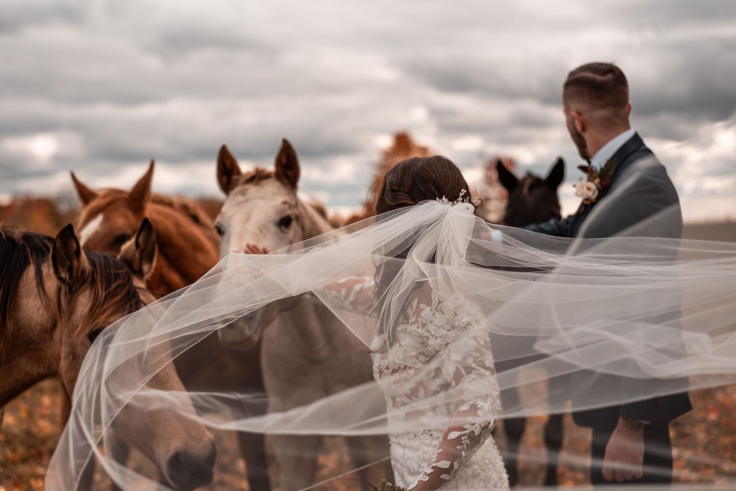 A wedding couple poses with horses under dramatic cloudy skies as the bride's veil flows in the wind.