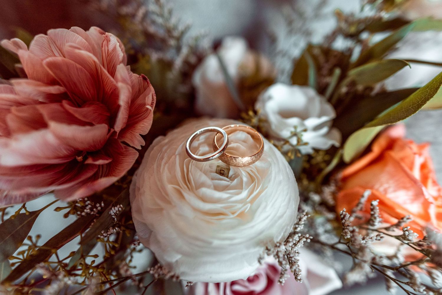 Wedding rings rest delicately atop a white rose surrounded by coral and peach-colored floral arrangements.