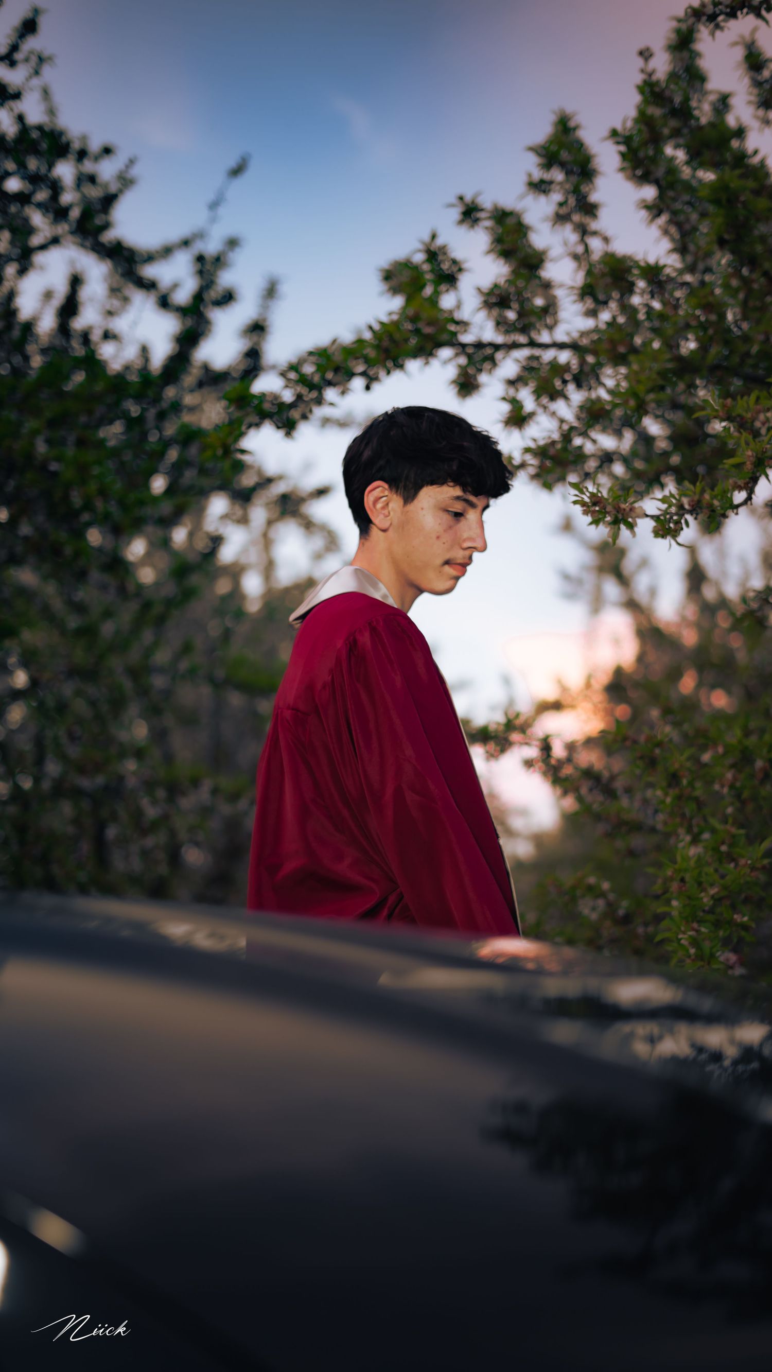 Person in burgundy sweater poses in profile against sunset and trees.
