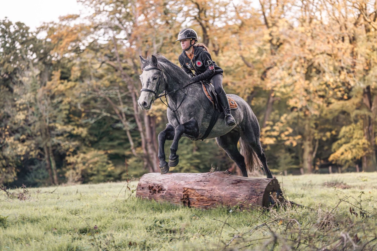 A rider and horse jumping over a fallen log in an autumn forest setting during cross country equestrian training.