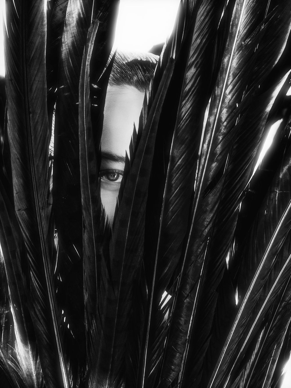 A dramatic black and white photograph showing an eye peeking through dark feathers or palm fronds.