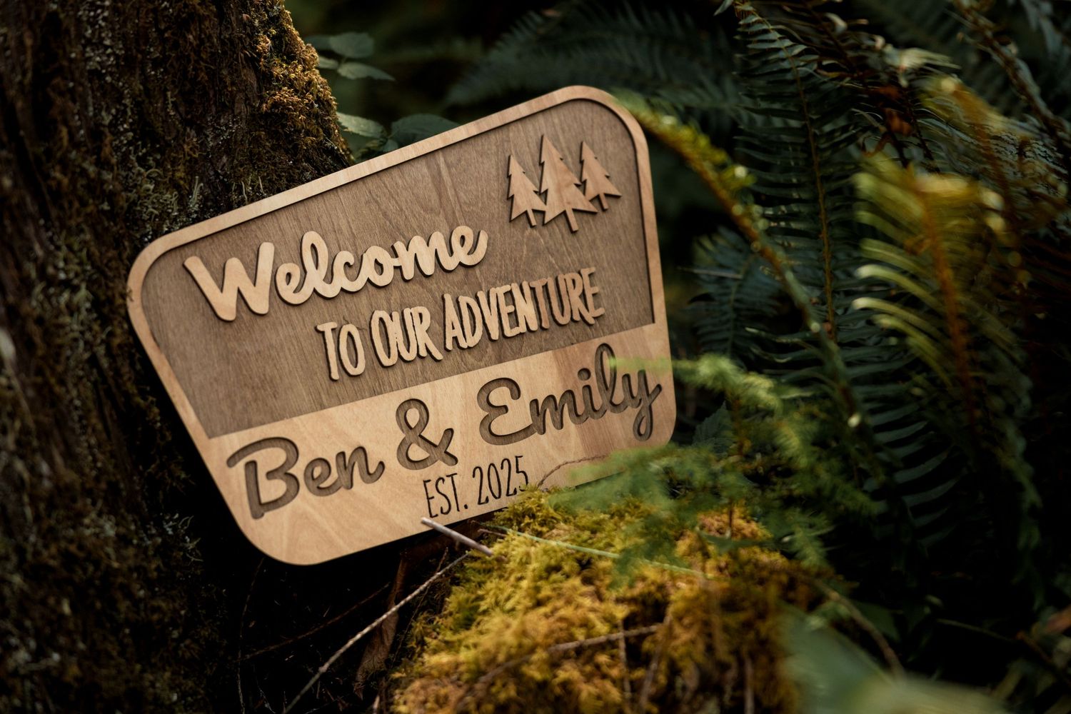 Wooden welcome signs with rustic lettering displayed among ferns and greenery.