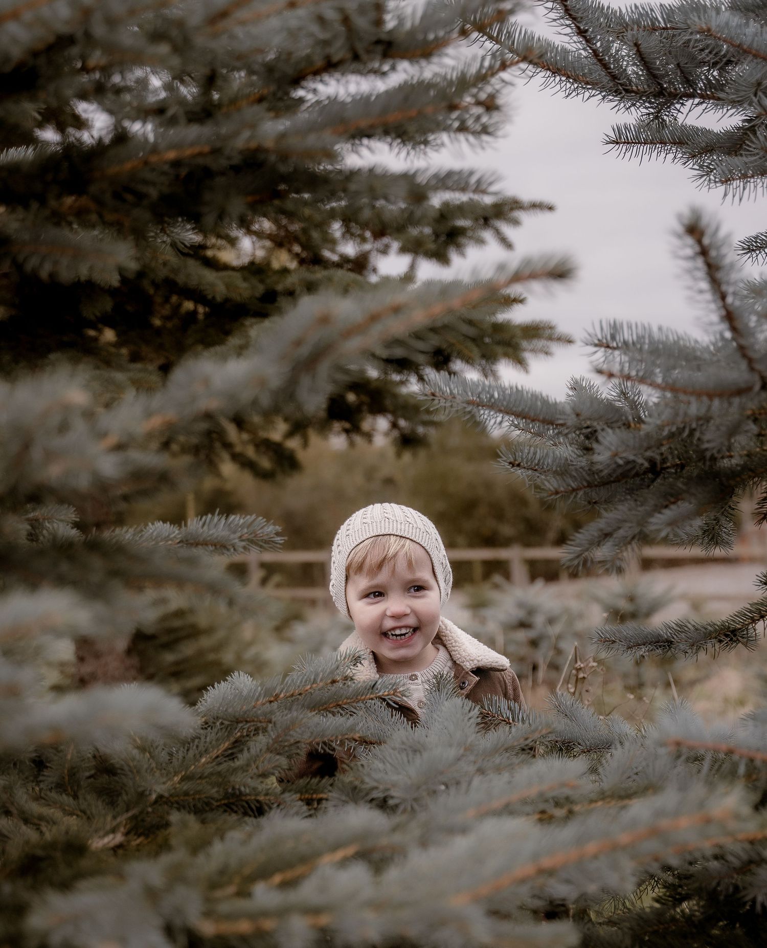 Storytelling family photography documenting connection and warmth