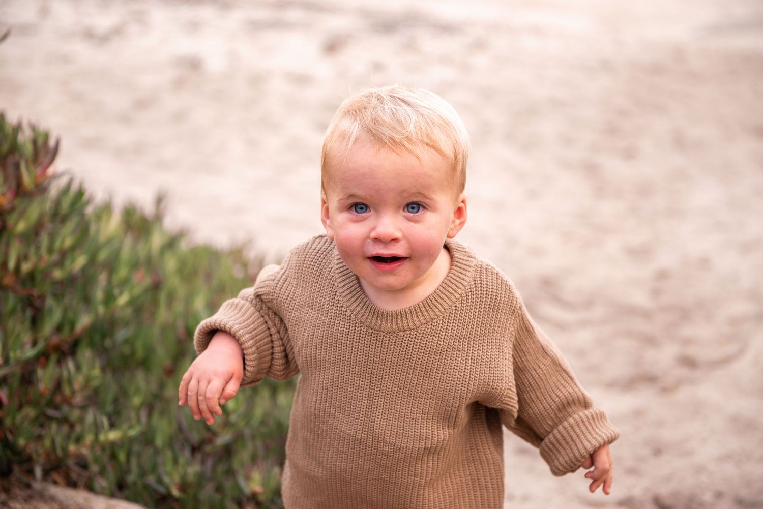 carmel family photographer
carmel family photographer instagram
carmel family photographer photos
carmel family photographer